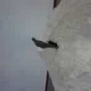 Meet your Posher, Jaydubb10304